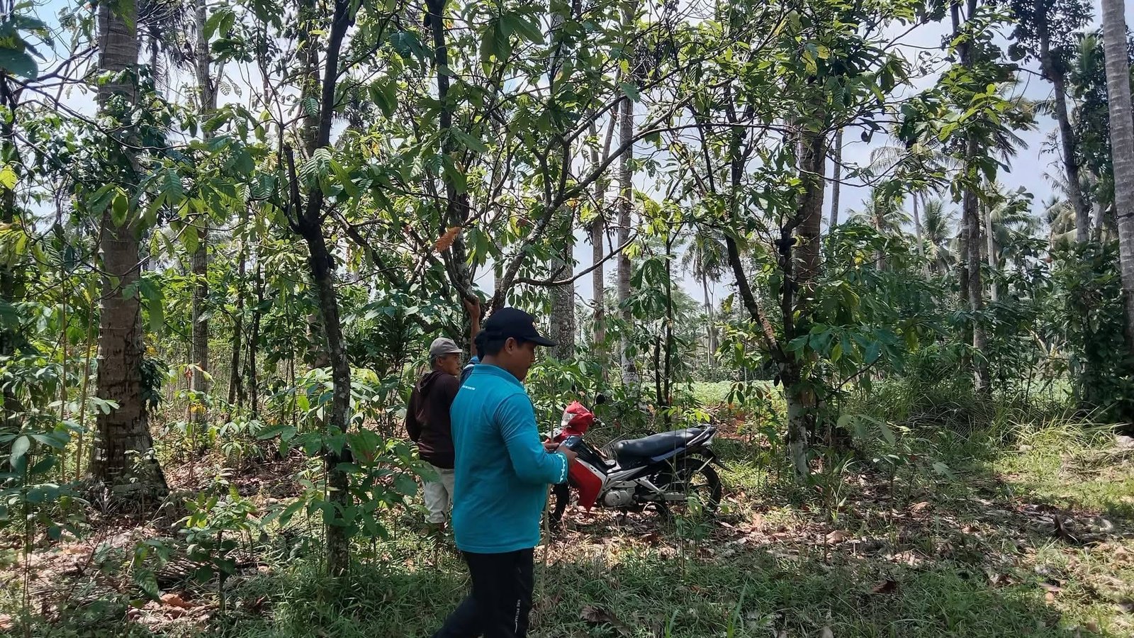 KUA Labuhan Maringgai Dampingi Pengukuran Tanah Wakaf