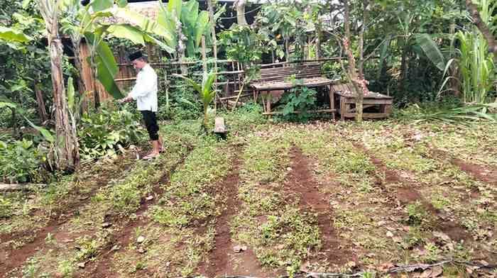KUA Sekampung Udik Galakkan Gerakan Ekoteologi dengan Menanam Buah dan Sayuran di Lingkungan Kantor