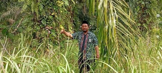 Plt. Kepala KUA Kec. Rupat Tinjau Lokasi Pembangunan Gedung KUA Baru