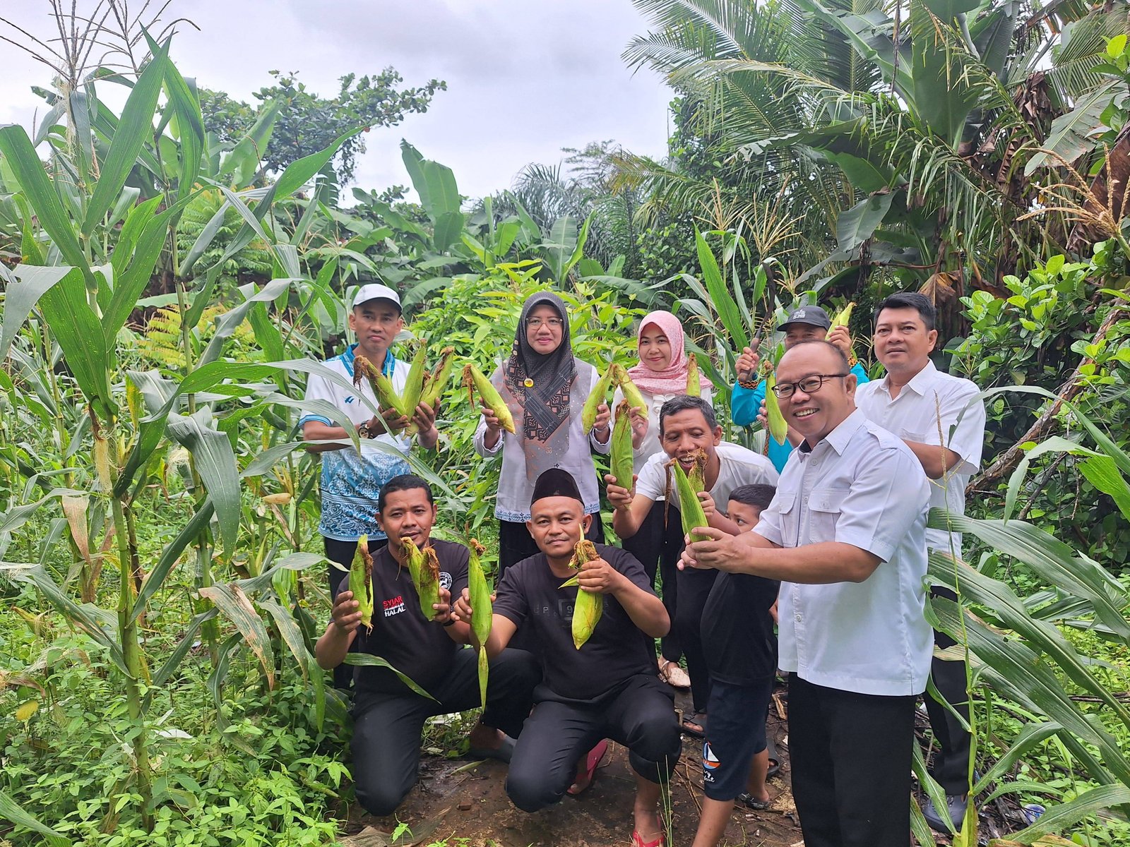 KUA Sukadana Panen Jagung Manis Program Ekoteologi