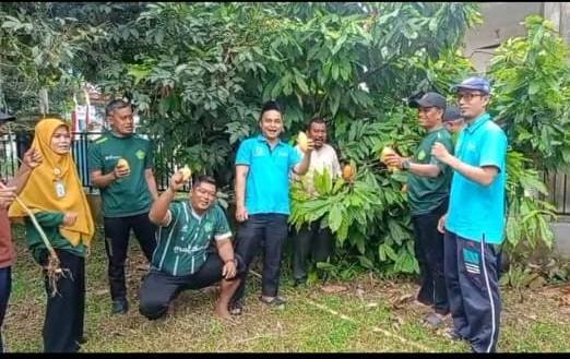 KUA Rumbai Barat Panen Buah Di Kebun Mini 