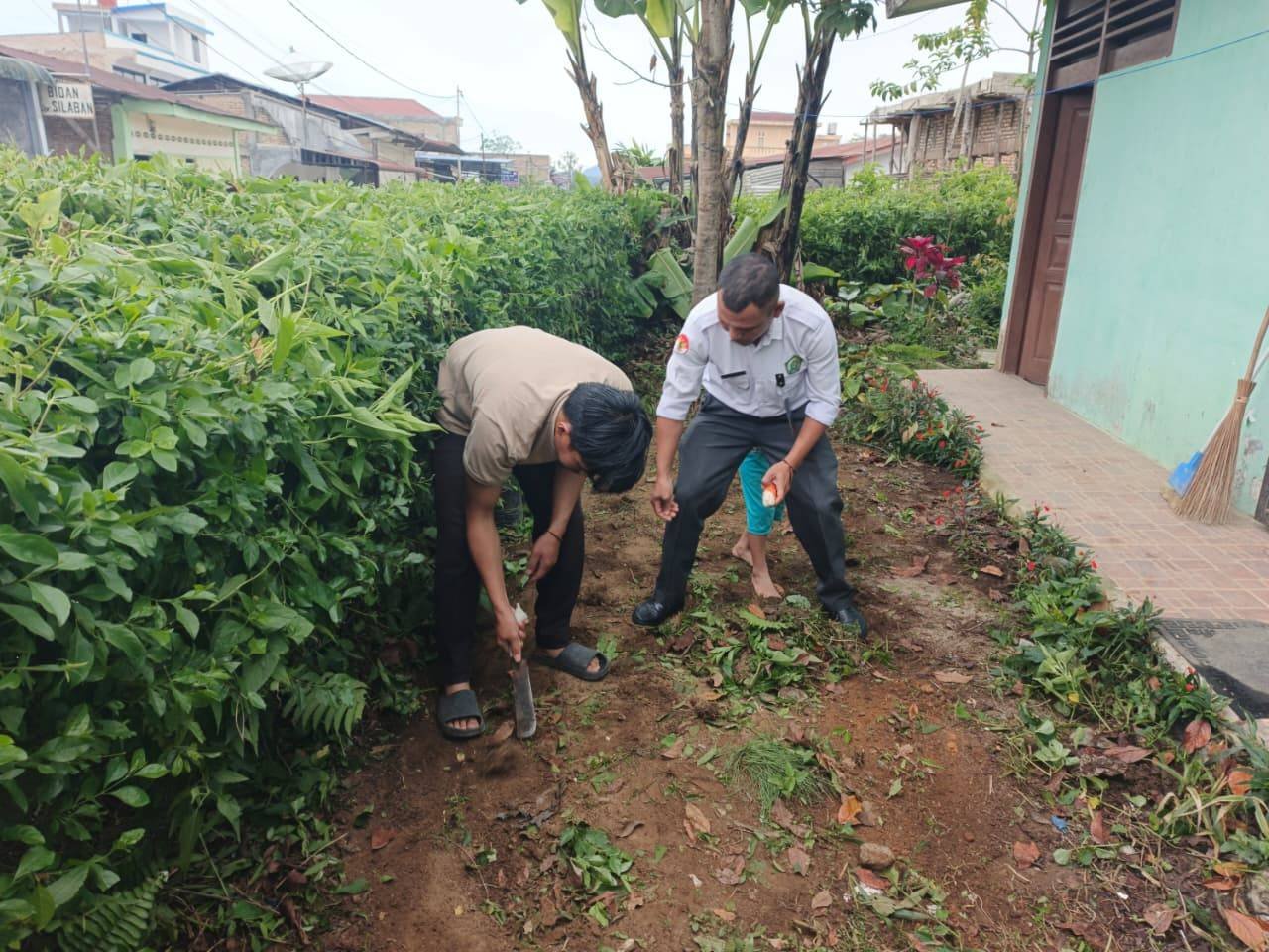 Gotong Royong dan Tanam Jagung, KUA Doloksanggul Wujudkan Kepedulian terhadap Lingkungan