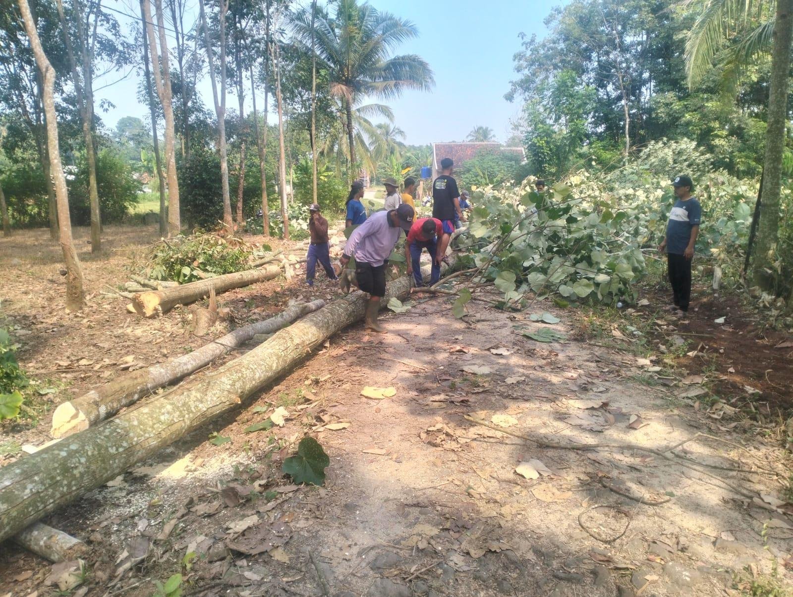 Aksi Swadaya Warga Gading Rejo Berbuah Nilai Ekonomi Hampir 600 Juta