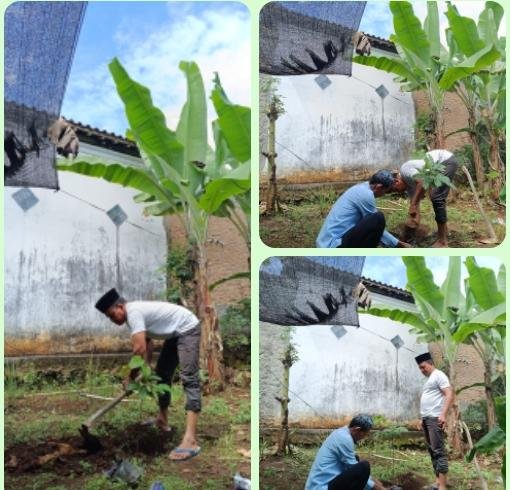 Dukung Program Ekotiologi, KUA Sekampung Udik Tanam 10 Pohon Matoa